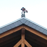 Dachfenster_Holzbau in Laudenbach